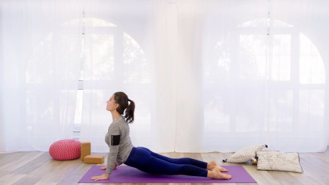 Yoga Studio - Clip 28