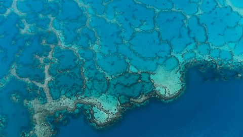 Aerial French Polynesia - Clip 1