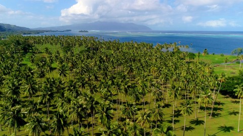 Aerial French Polynesia - Clip 46