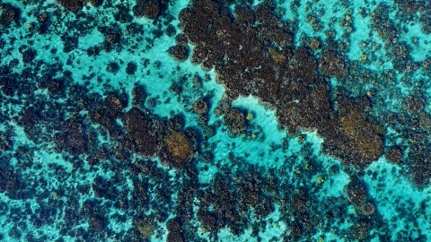Aerial French Polynesia - Clip 65