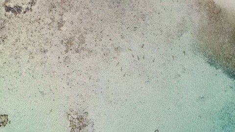 Aerial French Polynesia - Clip 86