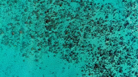Aerial French Polynesia - Clip 106