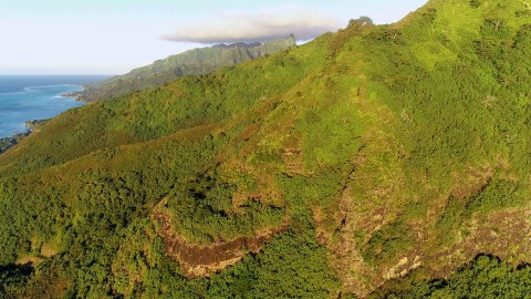Aerial French Polynesia - Clip 122