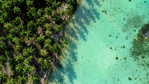 Aerial French Polynesia - Clip 162