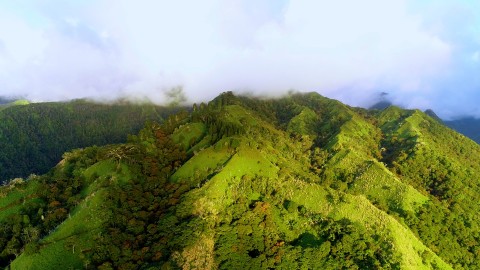 Aerial French Polynesia - Clip 174
