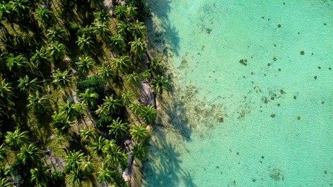 Aerial French Polynesia - Clip 183