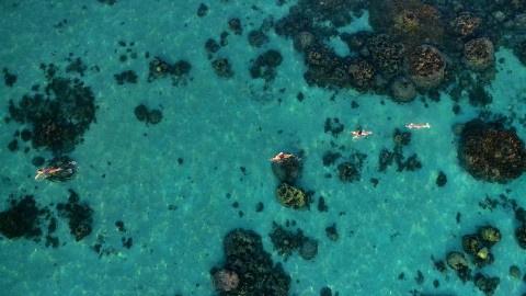 Aerial French Polynesia - Clip 192