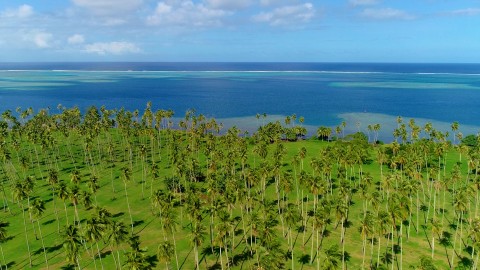 Aerial French Polynesia - Clip 208