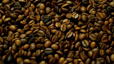 Coffee Plantation - Clip 37