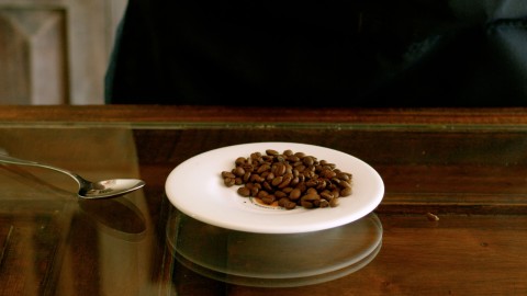Coffee Plantation - Clip 54