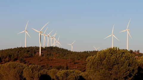 Wind Farm - Clip 40