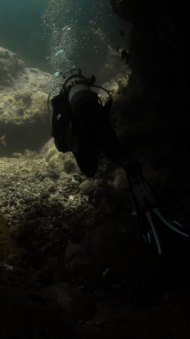 Wrecks and Caves - Clip 10