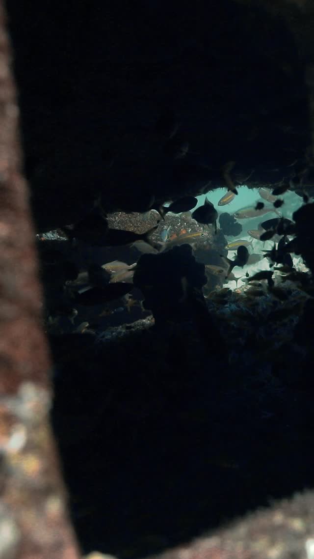 Wrecks and Caves - Clip 12