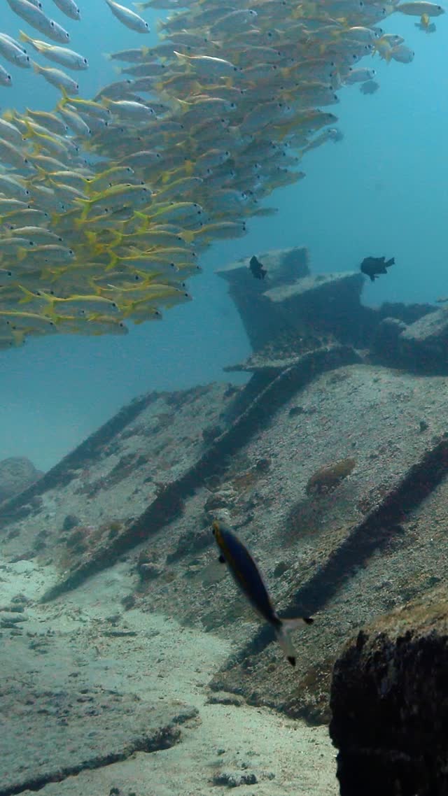 Wrecks and Caves - Clip 21