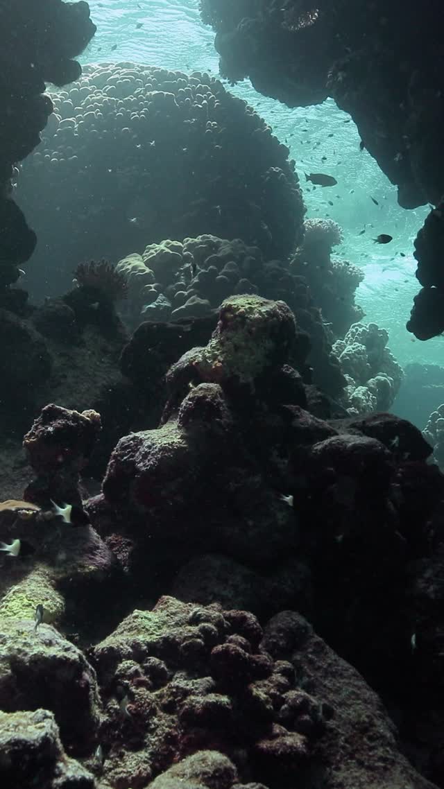 Wrecks and Caves - Clip 29