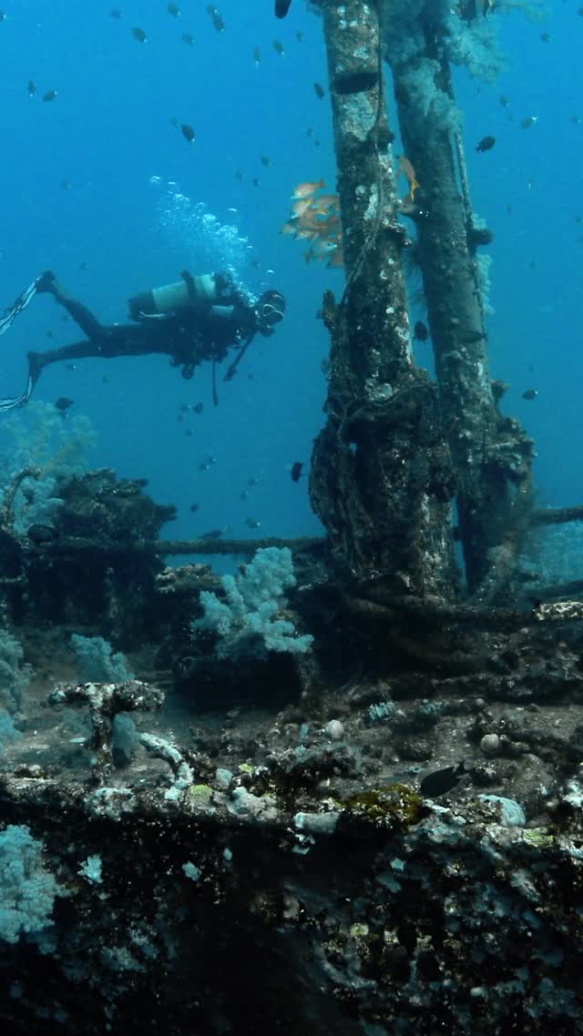 Wrecks and Caves - Clip 3