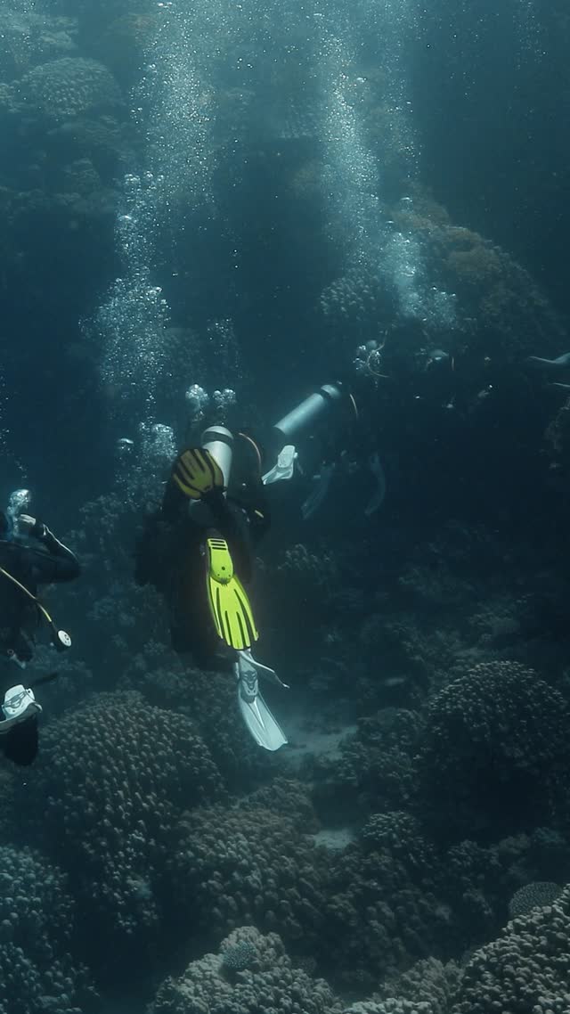 Wrecks and Caves - Clip 34