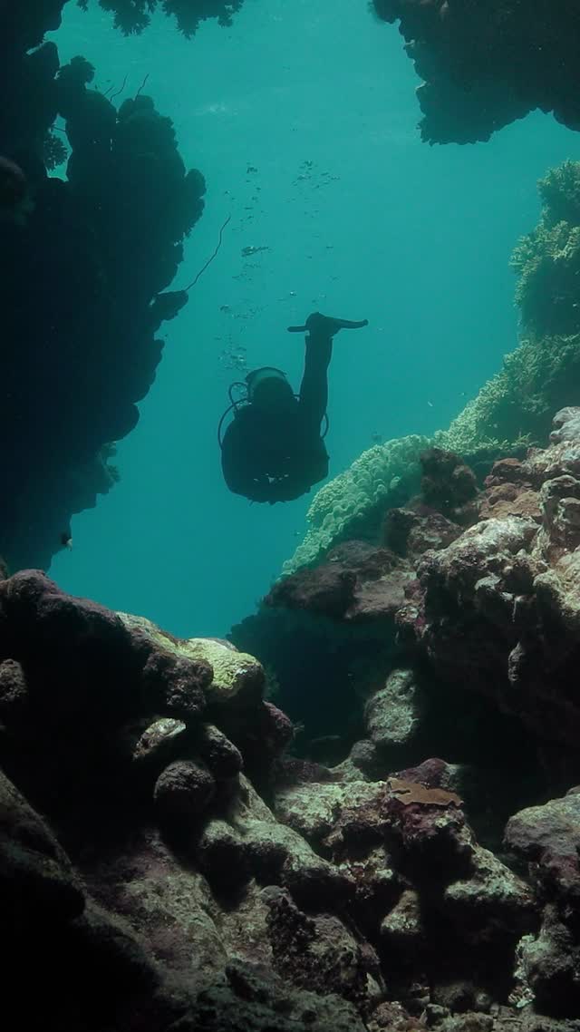 Wrecks and Caves - Clip 35