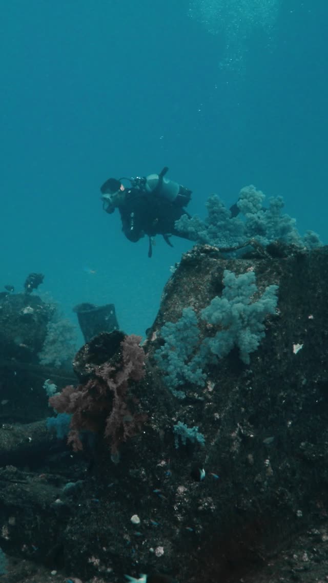 Wrecks and Caves - Clip 39