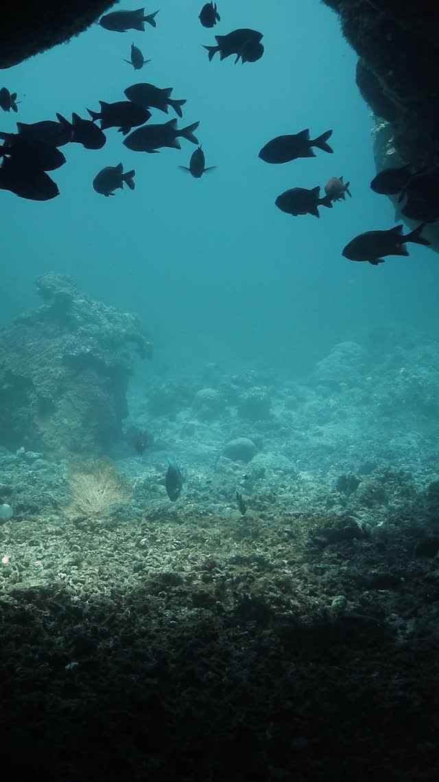 Wrecks and Caves - Clip 40