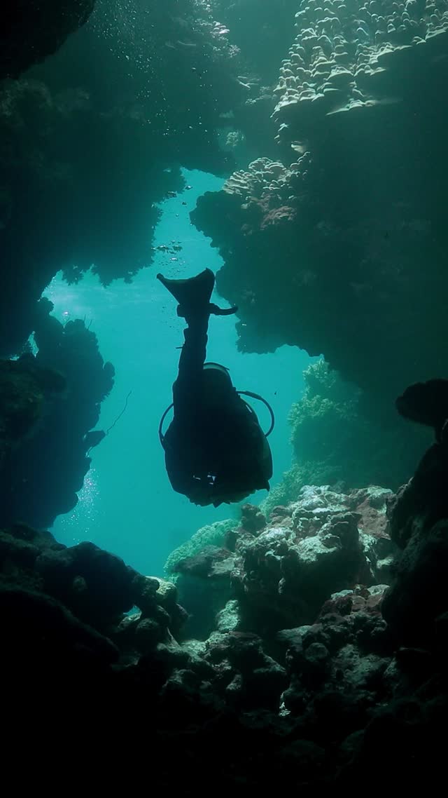 Wrecks and Caves - Clip 6
